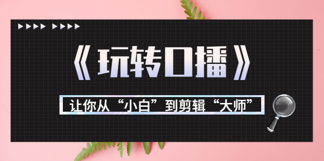 月营业额700万+大佬教您《玩转口播》让你从“小白”到剪辑“大师”-比钱轻创