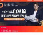 0粉0作品自然流正价起号及稳号全教程，专业自然流起号机构流程化教学（价值2980元）-比钱轻创