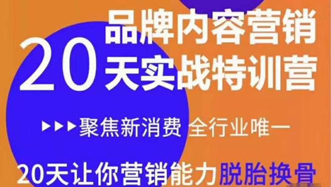 《内容营销实操特训营》20天让你营销能力脱胎换骨（价值3999）-比钱轻创