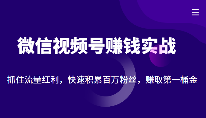 微信视频号赚钱实战：抓住流量红利，快速积累百万粉丝，赚取你的第一桶金-比钱轻创