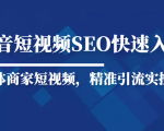 抖音短视频Seo搜索排名优化新手快速入门教程，实体商家短视频，精准引流实操课-比钱轻创
