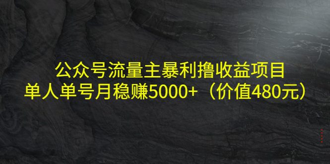 公众号流量主暴利撸收益项目，单人单号月稳赚5000+（价值480元）-比钱轻创