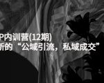 新媒体IP内训营(12期)，一套全新的“公域引流，私域成交”IP打法，直接带走-比钱轻创