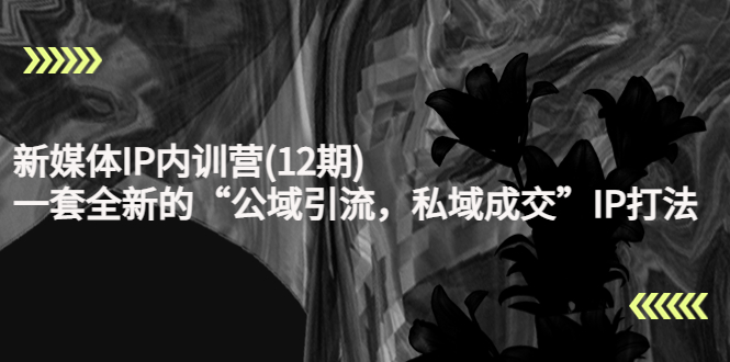 新媒体IP内训营(12期)，一套全新的“公域引流，私域成交”IP打法，直接带走-比钱轻创