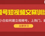 视频号短视频文案训练营：0基础小白如何建立视频号，上热门，能卖货！-比钱轻创