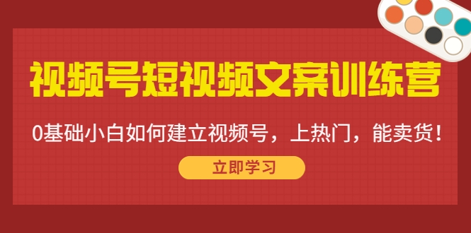 视频号短视频文案训练营：0基础小白如何建立视频号，上热门，能卖货！-比钱轻创