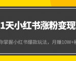 21天小红书涨粉变现营（第4期）：带你掌握小红书爆款玩法，月赚10W+秘密-比钱轻创