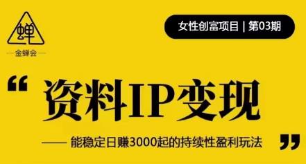 资料IP变现，能稳定日赚3000起的持续性盈利玩法-比钱轻创