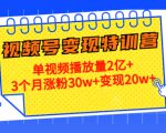 21天视频号变现特训营：单视频播放量2亿+3个月涨粉30w+变现20w+（第14期）-比钱轻创