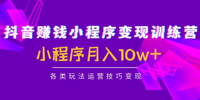 抖音赚钱小程序变现训练营：小程序月入10w+各类玩法运营技巧变现-比钱轻创