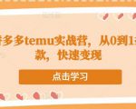 跨境拼多多temu实战营，从0到1打造爆款，快速变现-比钱轻创