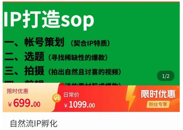 瑶瑶·自然流IP孵化，系统掌握IP孵化全流程，也能学到选题，剪辑，账号运营经验-比钱轻创