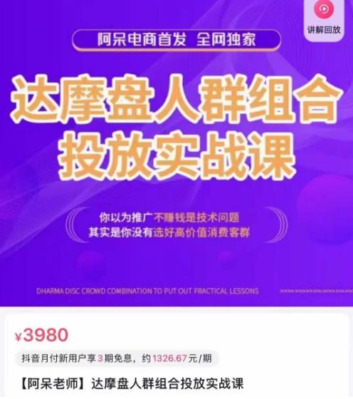 阿呆电商·达摩盘人群组合投放实战课，你以为推广不赚钱是技术问题，其实是你没有选好高价值消费客群-比钱轻创