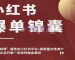 小红书爆单锦囊，自带种草属性+高质量女性用户，为你的企业开辟一条新的掘金路径-比钱轻创
