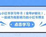 厦九九小红书学习年卡（全年IP孵化），沉浸式学习，一起成为有影响力的小红书博主-比钱轻创