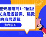 大圣淘宝天猫电商1-7层级盈利增长底层逻辑课，爆款的底层逻辑-比钱轻创