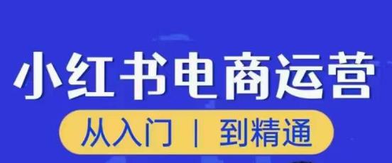 顽石小红书电商高阶运营课程，从入门到精通，玩法流程持续更新-比钱轻创
