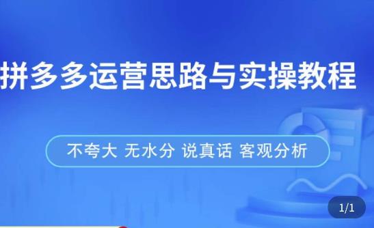 拼多多店铺运营思路与实操教程，快速学会拼多多开店和运营，少踩坑，多盈利-比钱轻创