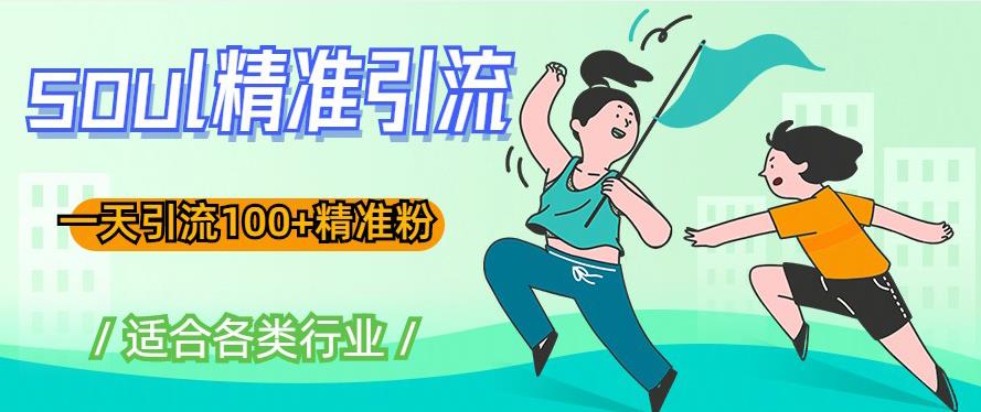 soul精准引流系列课程，一天引流100+精准粉，适合各类行业-比钱轻创