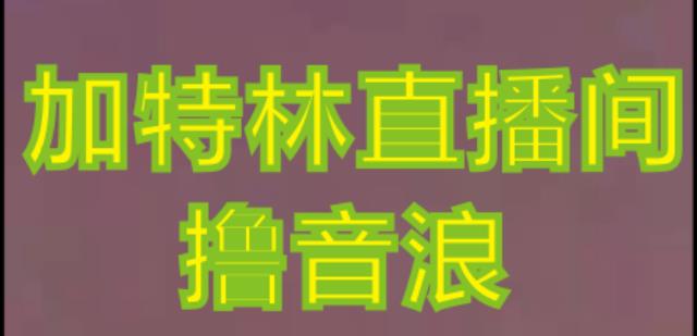 抖音加特林直播间搭建技术，抖音0粉开播，暴力撸音浪，2023新口子，每天800+【素材+详细教程】-比钱轻创