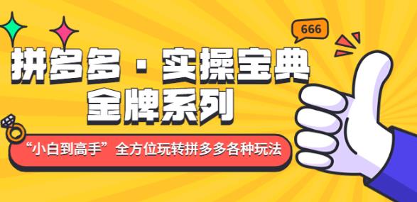 拼多多·实操宝典：金牌系列“小白到高手”带你全方位玩转拼多多各种玩法-比钱轻创
