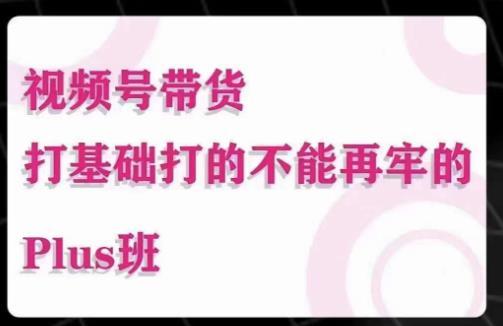 大播汇·视频号带货Puls班，视频号底层逻辑，起号自然流鱼塘等玩法-比钱轻创