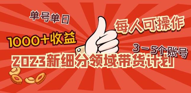 2023新细分领域带货计划：单号单日1000+收益不难，每人可操作3-5个账号-比钱轻创