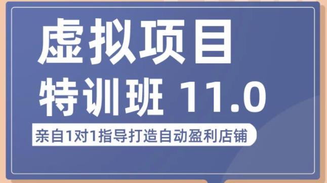 陆明明·虚拟项目特训班（10.0+11.0），0成本获取虚拟素材，0基础打造自动盈利店铺-比钱轻创