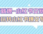 一写就爆-小红书文案课:带你玩转小红收爆文写作(45节课)-比钱轻创