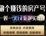 刘广标·同城房产号线上陪跑课，拍摄、剪辑、写文案、直播，做一个具有潜力价值的房产号-比钱轻创