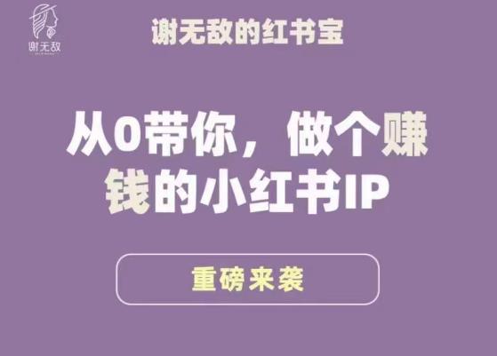 谢无敌·小红书运营大宝典，从0带你做个赚钱的小红书IP-比钱轻创