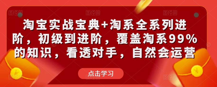 淘宝实战宝典+淘系全系列进阶，初级到进阶，覆盖淘系99%的知识，看透对手，自然会运营-比钱轻创