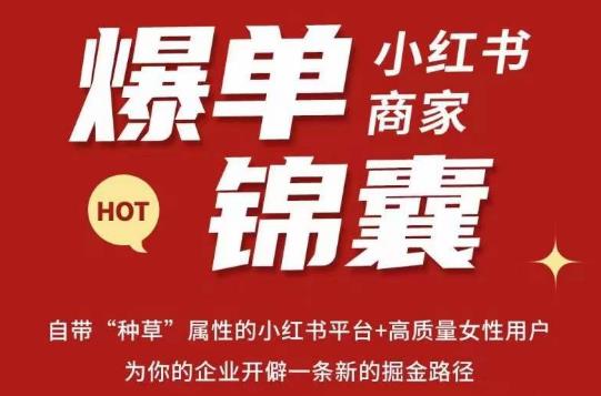 无畏·小红书商家爆单锦囊，掌握小红书各大规则，快速精准抢占行业和市场-比钱轻创