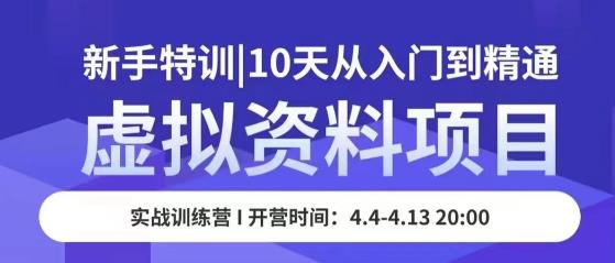 虚拟资料项目新手特训，10天从入门到精通，保姆级实操教学-比钱轻创
