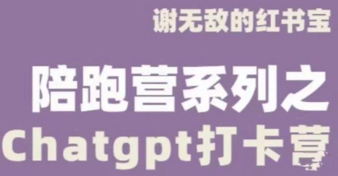 谢无敌ChatGPT打卡营，教你更好地使用ChatGPT来提高工作效率-比钱轻创