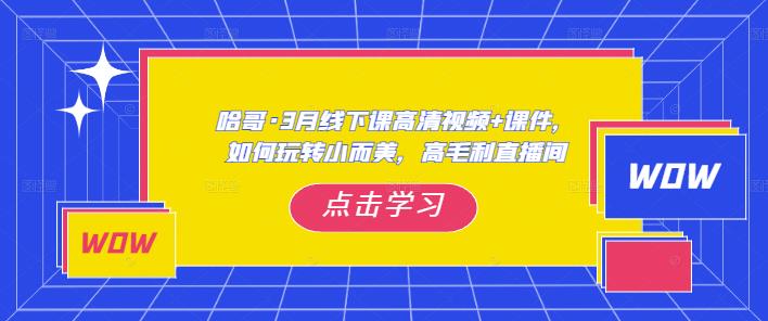哈哥·3月线下实操课高清视频+课件，如何玩转小而美，高毛利直播间-比钱轻创