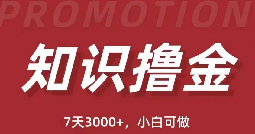 抖音知识撸金项目：简单粗暴日入1000+执行力强当天见收益(教程+资料)-比钱轻创