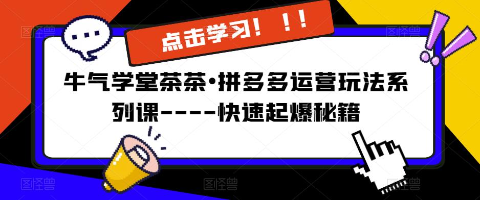 牛气学堂茶茶•拼多多运营玩法系列课—-快速起爆秘籍【更新】-比钱轻创