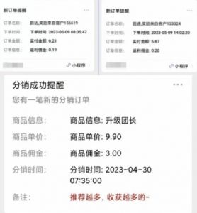 快递代发CPS,月入万元,不起眼却很赚钱的信息差项目【揭秘】-比钱轻创