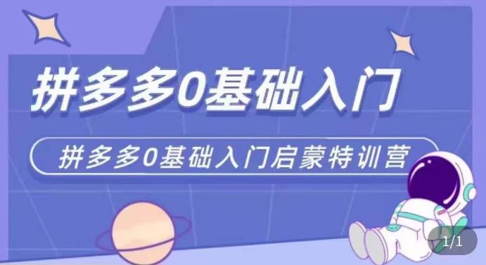 拼多多运营0-1实操特训营，拼多多0基础入门，从基础到进阶的可实操玩法-比钱轻创