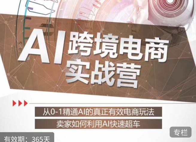 白龙老师·AI跨境电商实战营：从0-1精通Al的真正有效电商玩法，卖家如何利用Al快速超车-比钱轻创