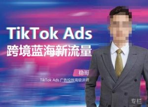 稳哥·如何投出高ROI的TikTok广告，开拓独立站卖家流量新蓝海-比钱轻创