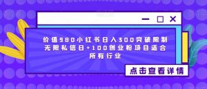 价值980小红书日入300突破限制无限私信日+100创业粉项目适合所有行业-比钱轻创