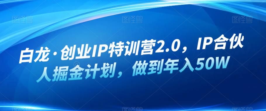 白龙·创业IP特训营2.0,IP合伙人掘金计划,做到年入50W-比钱轻创