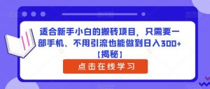 适合新手小白的搬砖项目，只需要一部手机、不用引流也能做到日入300+【揭秘】-比钱轻创