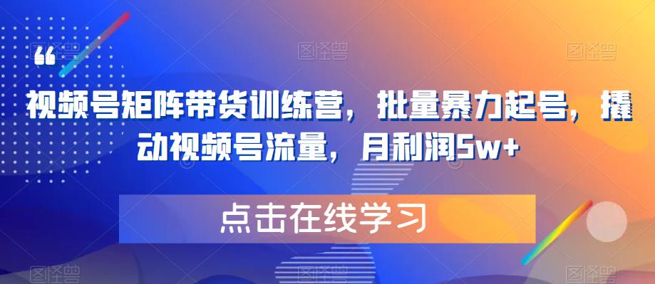 视频号矩阵带货训练营，批量暴力起号，撬动视频号流量，月利润5w+-比钱轻创