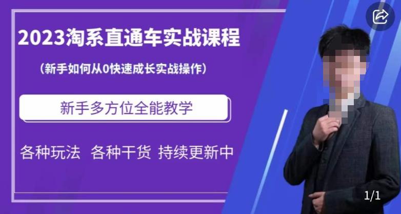 2023淘系直通车保姆式运营讲解，新手如何从0快速成长实战操作，新手多方位全能教学-比钱轻创