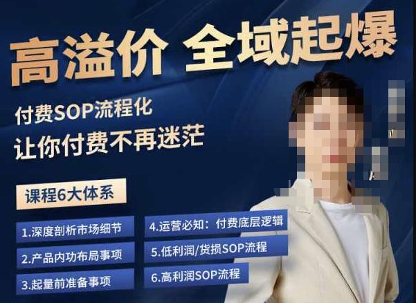 逸风-拼多多高溢价全域起爆，6大课程体系，付费玩法全套实操-比钱轻创