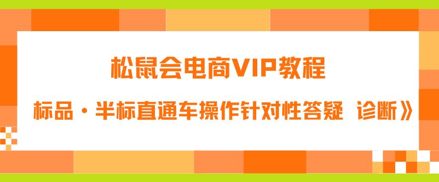 松鼠会电商VIP教程：松鼠《付费推广标品·半标直通车操作针对性答疑&诊断》-比钱轻创