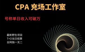 cpa充场工作室，号称单日收入10000+（揭秘）-比钱轻创